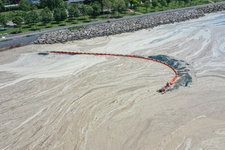 Tatilcilerde Marmara'da müsilaj paniği! Rezervasyonlar bir bir iptal ediliyor - Resim: 4