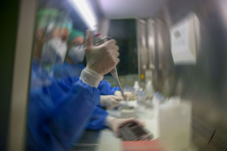 Cinsel organı küçülten yiyecekler varmış dünya bu araştırmadaki besin listesini konuşuyor - Resim: 1