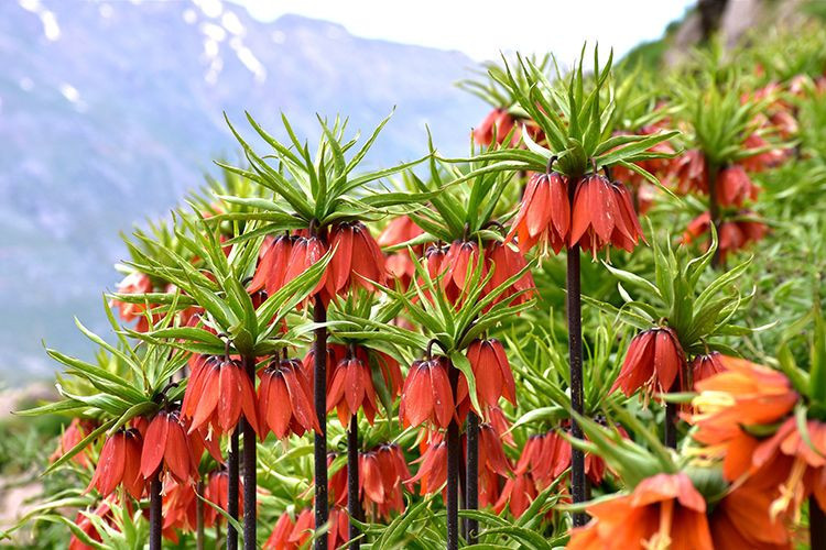 Bunu koparan yandı! 244 bin 315 lira ceza ödeyecek - Resim: 1