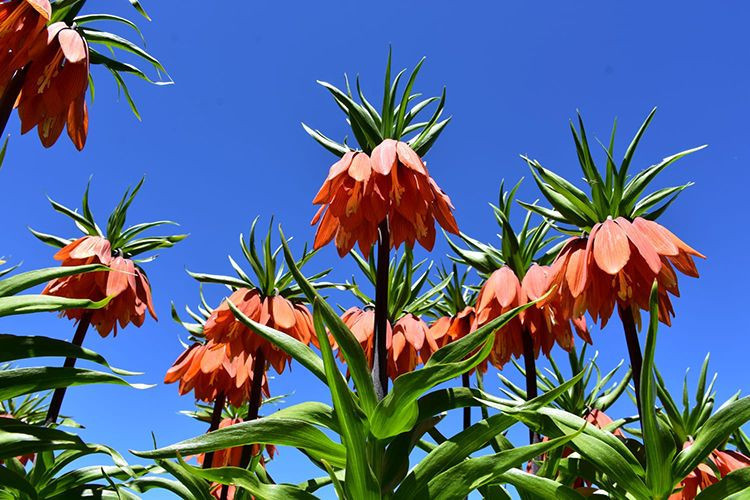 Bunu koparan yandı! 244 bin 315 lira ceza ödeyecek - Resim: 3
