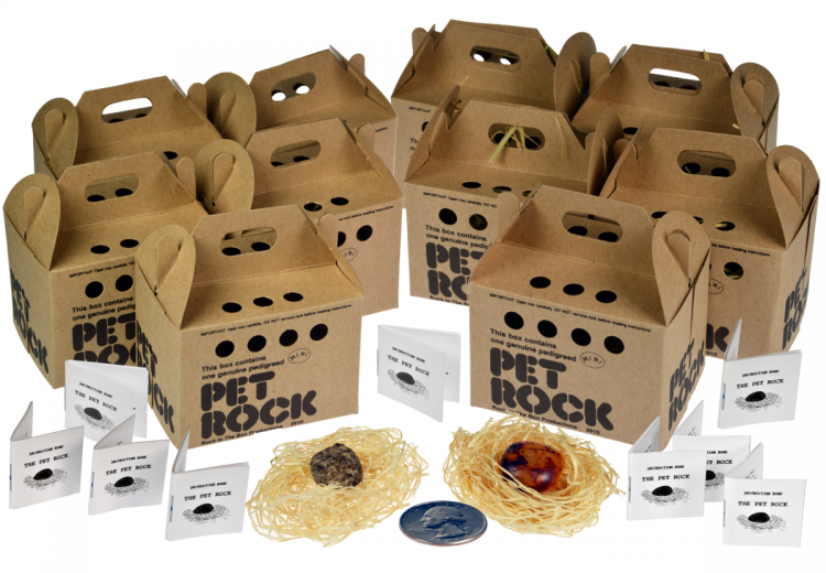 'Evcil kaya' sattı milyonlar kazandı! - Resim: 3