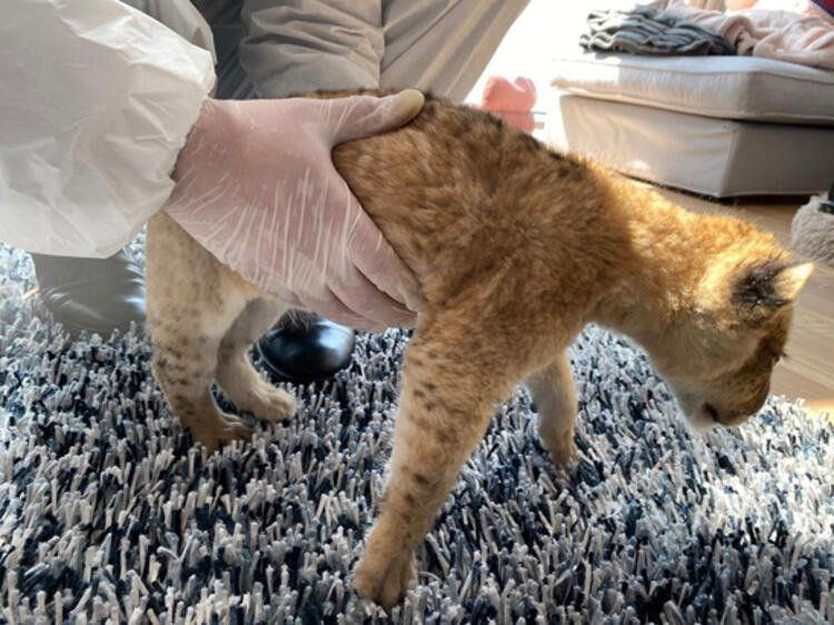 'Beni çıplak izlediler' deyip genç manken anlattı: Arama bahanesiyle odaya girip... - Resim: 3