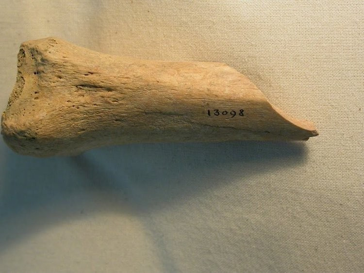 İnsanları yaktılar öldükten sonra kemiklerini parçaladılar! - Resim: 4