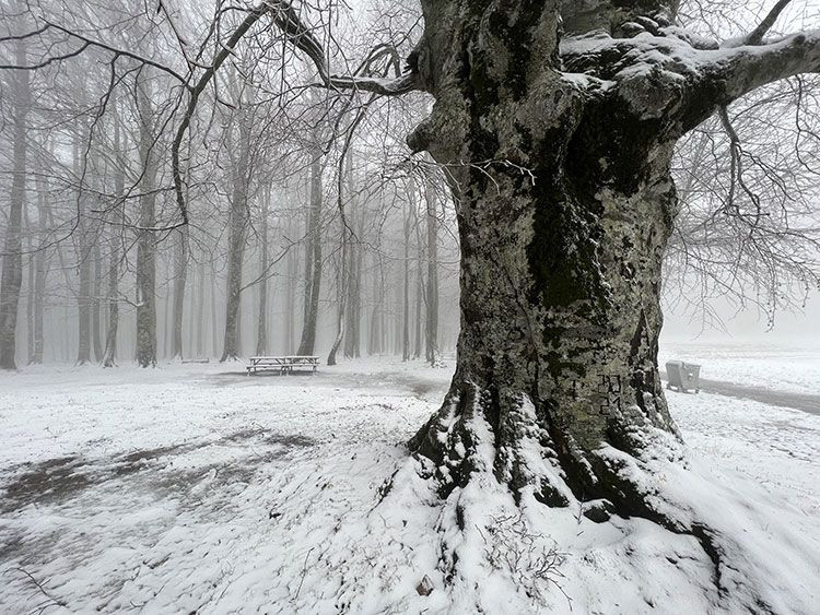 Meteoroloji açıkladı bu şehirlerde kar var! İstanbul'a da kar geliyor tarih belli oldu - Resim: 4
