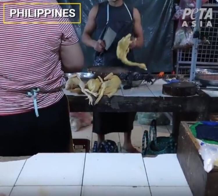 Hayvan pazarlarında iğrenç manzaralar! Koronavirüse rağmen hala yiyorlar - Resim: 3