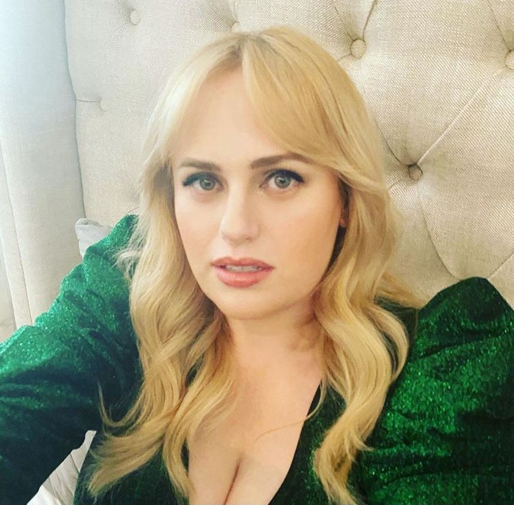 Şişko Amy rolüyle tanınan Rebel Wilson'ın olay değişimi! - Resim: 4