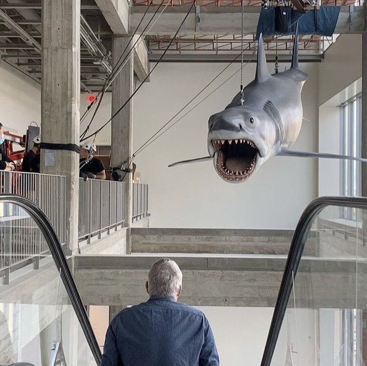 ABD'de Jaws filminde kullanılan dev köpekbalığı yenilendi - Resim: 4