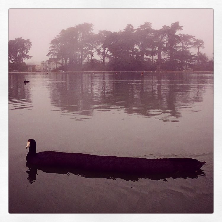 Panoramik fotoğraf faciaları - Resim: 3