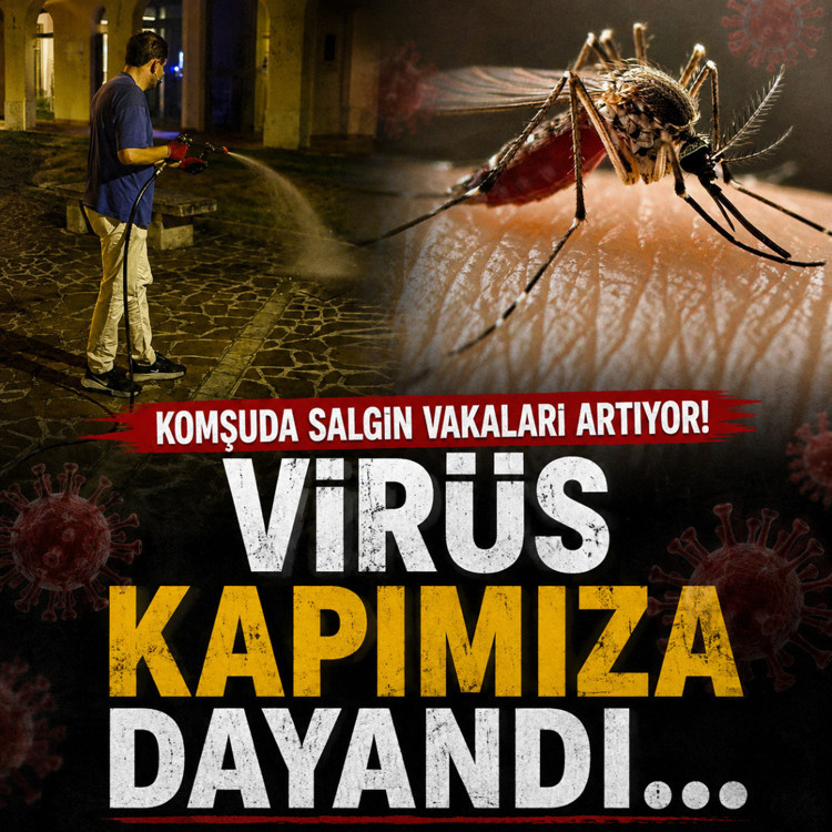 Yunanistan’da Batı Nil virüsü vakaları hızla artıyor