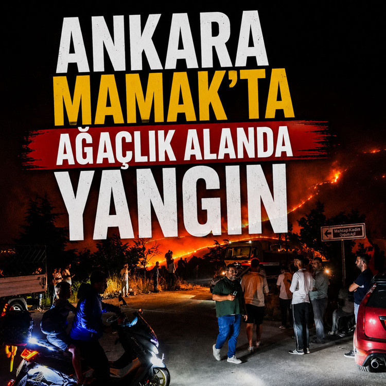 Ankara'da ağaçlık alanda çıkan yangına müdahale edildi
