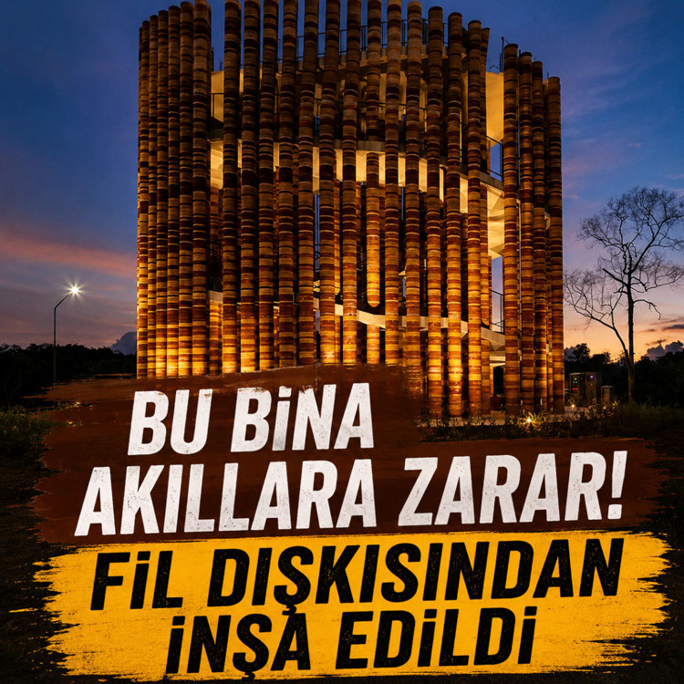 Bu bina akıllara zarar! Fil dışkısından inşa edildi