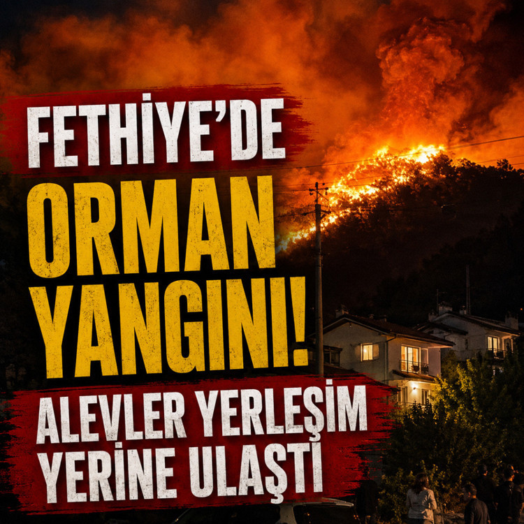 Muğla'nın Fethiye ilçesinde orman yangını yerleşim yerine ulaştı