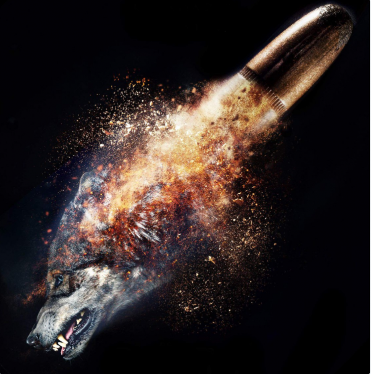 BÖRÜ dizisinin Asena Tümer'i Ahu Türkpençe kimdir?  - Resim: 2