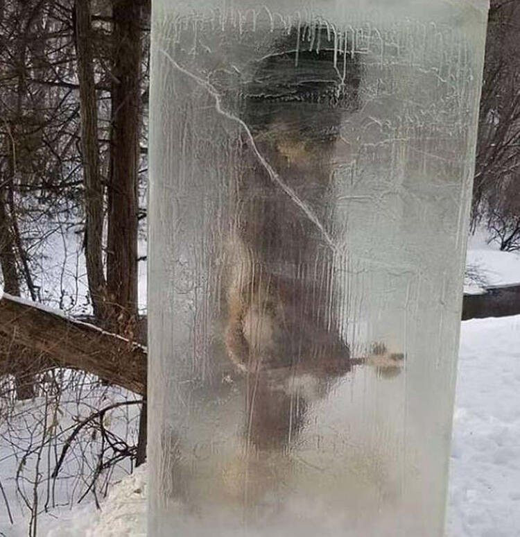 Parkta donmuş halde 'mağara adamı' bulundu! Meğer gerçek çok başkaymış - Resim: 2