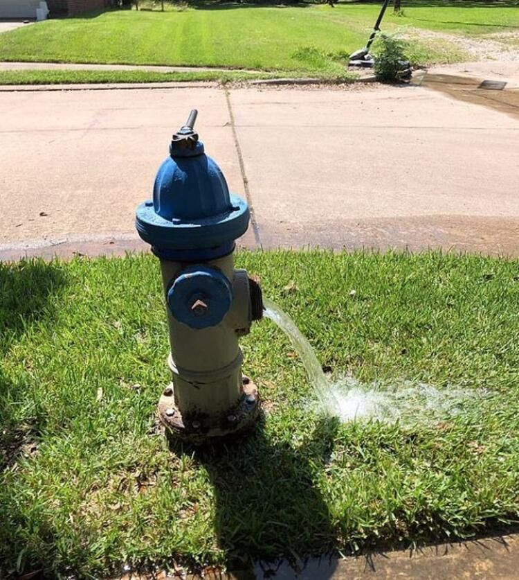 Felaket ilan edildi! İçme suyunda çıkan beyin yiyen amip 6 yaşındaki çocuğu öldürdü - Resim: 4