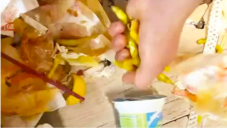 Kadıköy'deki iğrenç tantunicinin sahibi konuştu! Eğitim diye savundu - Resim: 3