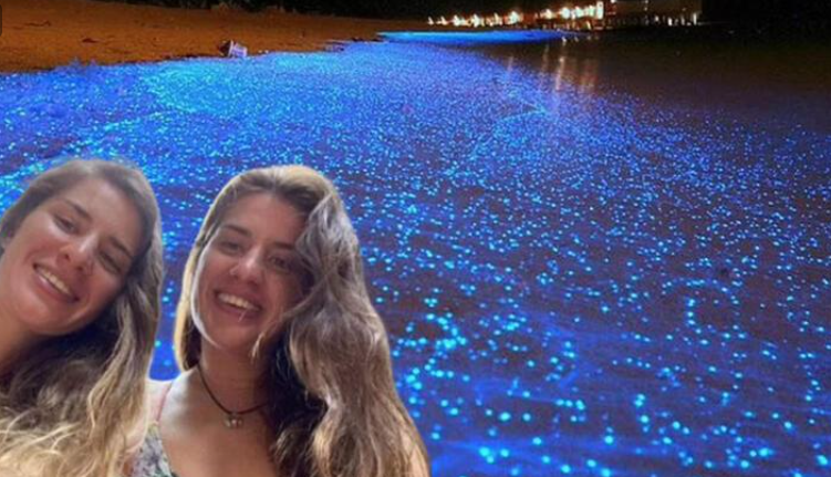 Dünya ikiz kardeşleri konuşuyor! Meksika tatili feci bitti: Timsahla çıplak elle savaştı - Resim: 2