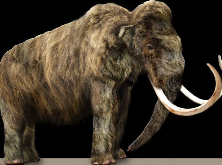 5 bin yıl önce yok olmuşlardı! Dünyaya geri dönüyorlar - Resim: 2