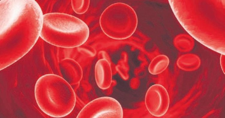 TÜRKÖK 783 kişiye yeniden can verdi - Resim: 3