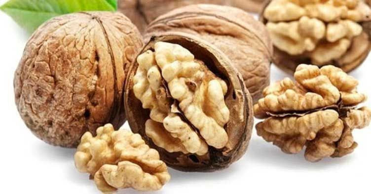 Bir avuç yedikten 4 saat sonra! Cevizin bu faydası araştırmada ortaya çıktı - Resim: 1