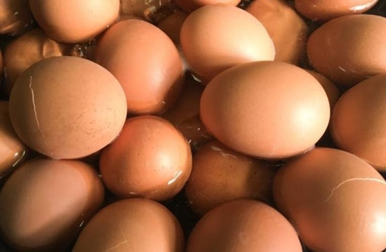 Avrupa'da böcek ilacı krizi büyüyor - Resim: 3