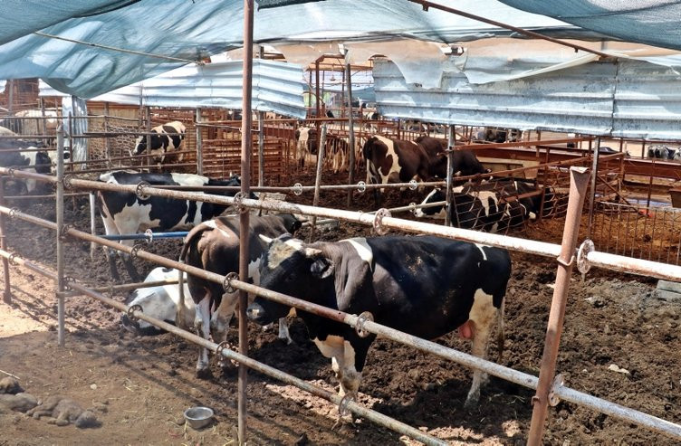 4 bilezikle başladı 350 bin lira kazandı - Resim: 4