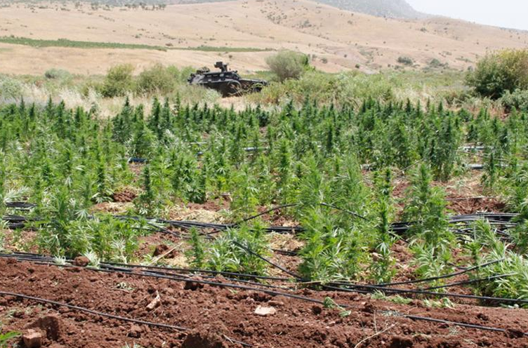 Uyuşturucu ticaretine büyük darbe - Resim: 1