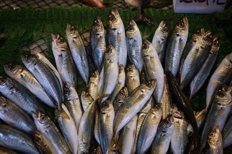 O balığı kılçığı ile beraber yiyin - Resim: 4