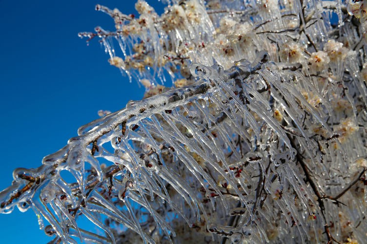 Fıkra gibi zirai don önlemi! - Resim: 1