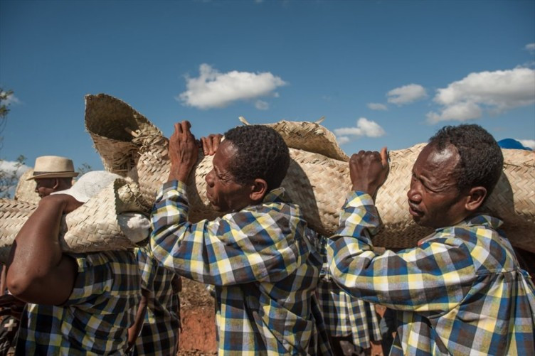 Böyle 'ölü' adeti görülmedi! - Resim: 1