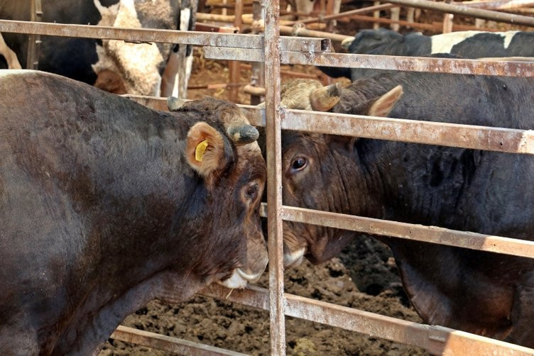 4 bilezikle başladı 350 bin lira kazandı - Resim: 2