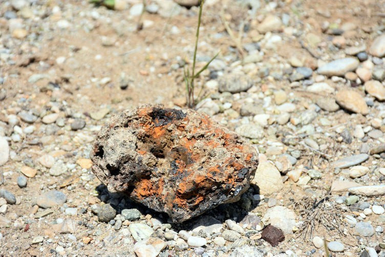Bulduğu Meteor parçasını satıp işini büyütecek - Resim: 4