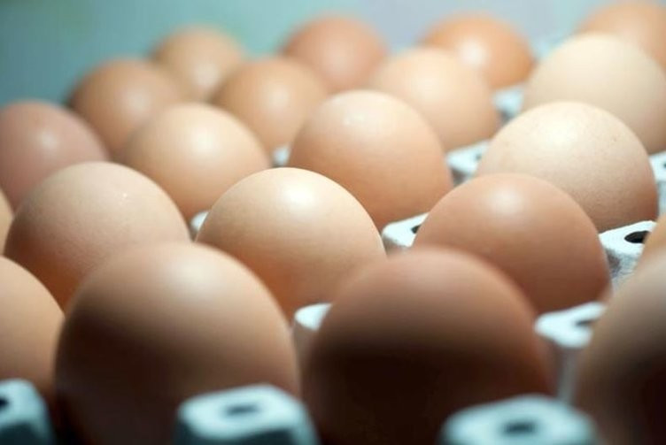 Avrupa'da böcek ilacı krizi büyüyor - Resim: 2