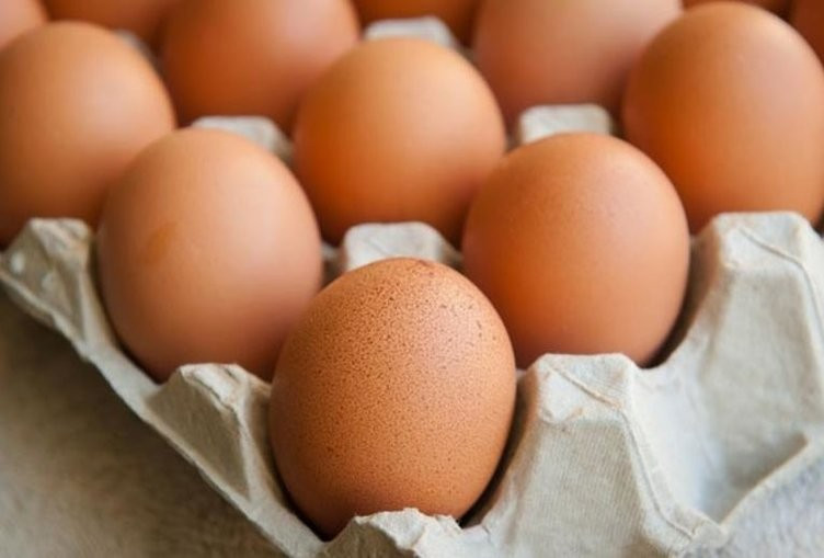 Avrupa'da böcek ilacı krizi büyüyor - Resim: 1