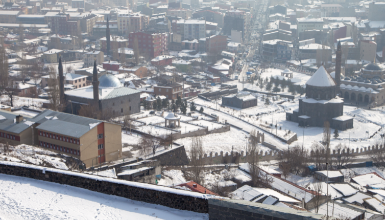 3 Türlü de kazandırıyor! Altın değerindeki hayvan için köylü şini gücünü bıraktı - Resim: 1