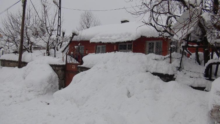Bitlis'te yoğun kar 210 köy yolu kapandı - Resim: 2