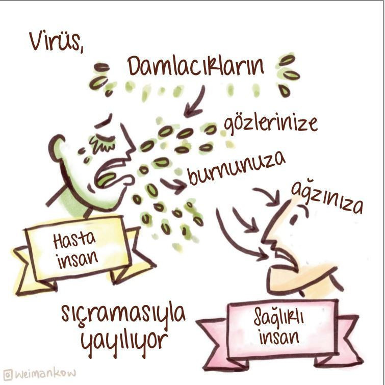 Corona virüs tehlikesine karşı alınması gereken önlemler! - Resim: 2