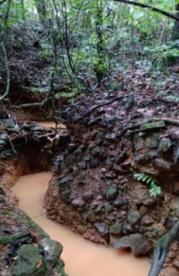Ormanda çığlıklar ekipleri harekete geçirdi! Kadını gören ekipler şok oldu - Resim: 2