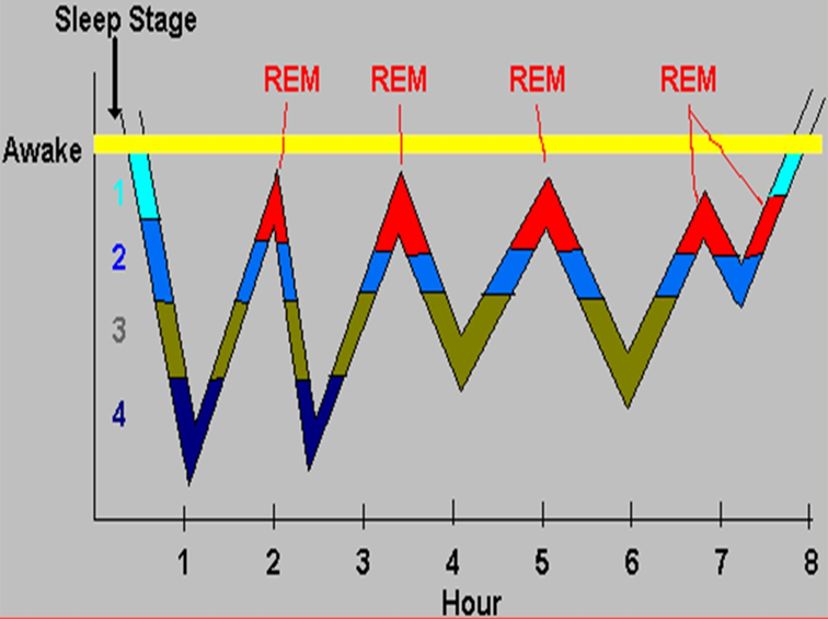 Kaliteli uykunun sırları - Resim: 2