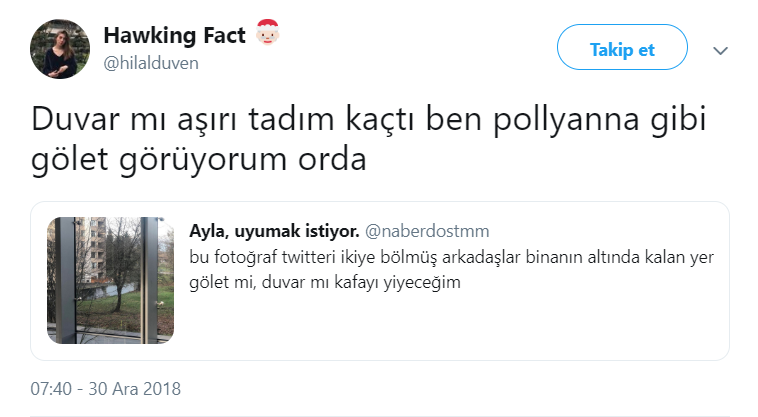 Bu fotoğraf sosyal medyayı ikiye böldü! Gölet mi, duvar mı? - Resim: 3