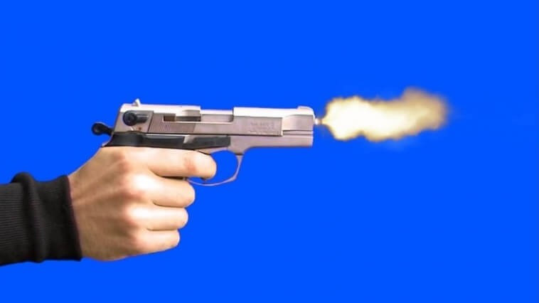 Türkiye silahlı cinayet haritası - Resim: 4