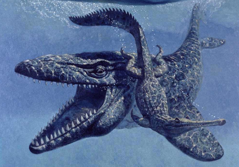 Maden ocağında ortaya çıktı! Tam 70 milyon yıl yaşında - Resim: 3