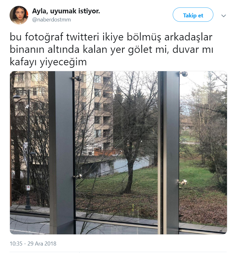 Bu fotoğraf sosyal medyayı ikiye böldü! Gölet mi, duvar mı? - Resim: 4