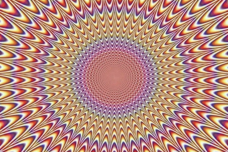 Bu ayakkabı hangi renk? Herkes farklı bir şey söylüyor eğer yeşil-gri görüyorsanız... - Resim: 1