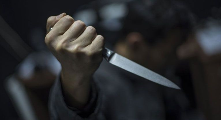 Köpeğin ağzındaki kol ortaya çıkardı! Bunu yapan 80 yaşındaki kadın - Resim: 3