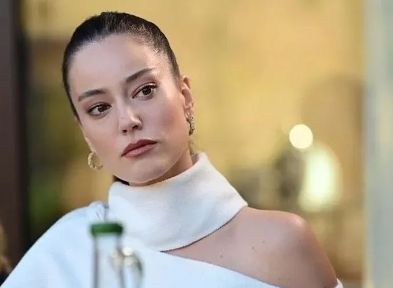 Pelin Akil geçersiz oy kullananlara ateş püskürdü! "1 milyon 363 bin 143 tasdikli gerizekalı" - Resim: 1