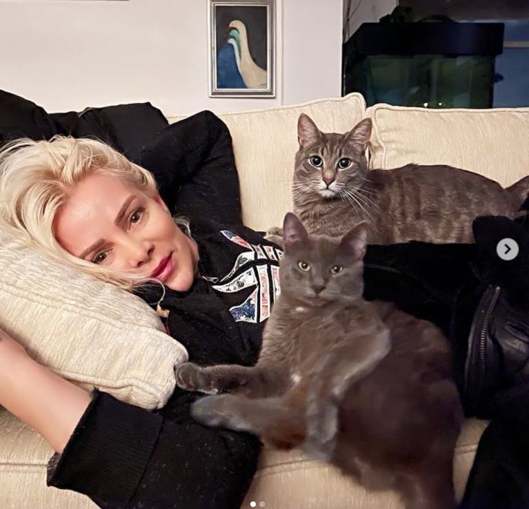 Kırmızı et fiyatları zam geldi Ömür Gedik oh çekti: Pahalılaşsın hayvanlar kurtulsun - Resim: 4