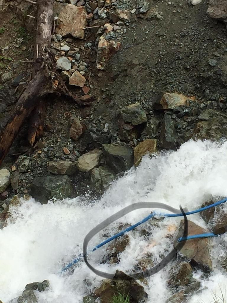 Kayıp gazetecinin cesedi bakın nerede bulundu - Resim: 1