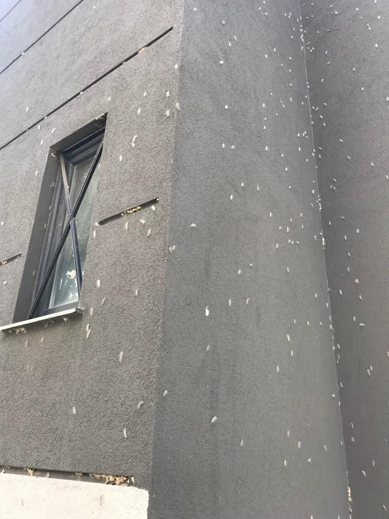 Mahalle sakinleri belediyeden yardım bekliyor! Kadıköy'ü tırtıl sardı - Resim: 4