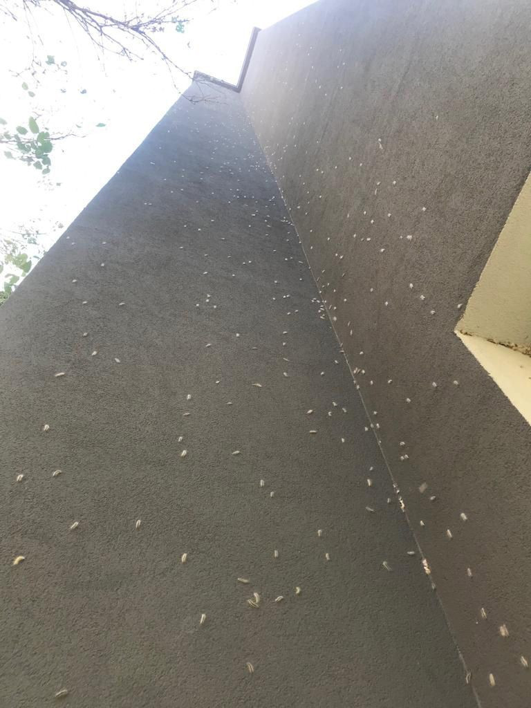 Mahalle sakinleri belediyeden yardım bekliyor! Kadıköy'ü tırtıl sardı - Resim: 3